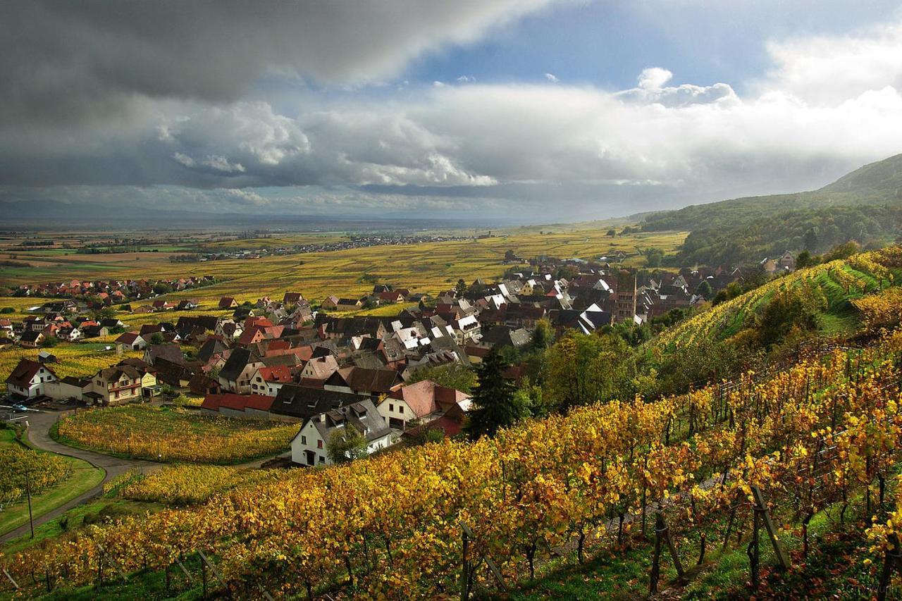 Breitenbach-Haut-RhinChez Christianアパートメント エクステリア 写真